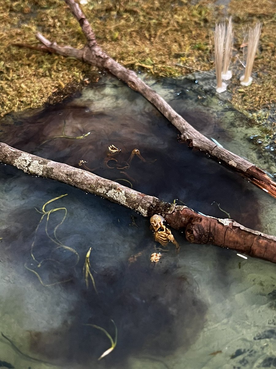 Savamundo's tweet photo. Swamp build coming along! #craftingdm #dnd #ttrpgs #tabletopterrain https://t.co/JE4j9xZyXu