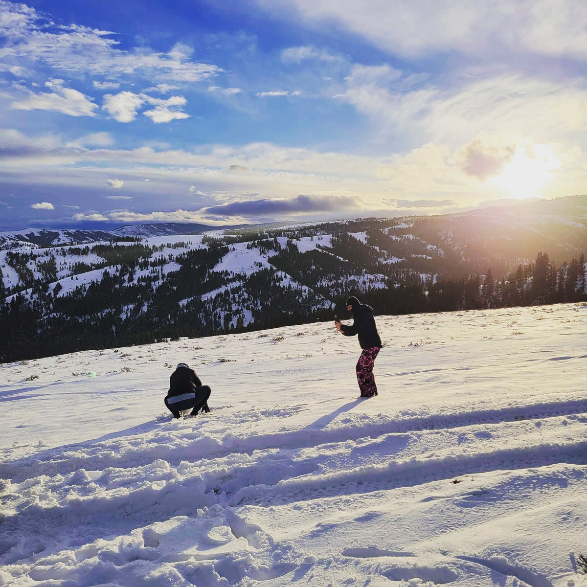 MidRdAdventure's tweet image. 