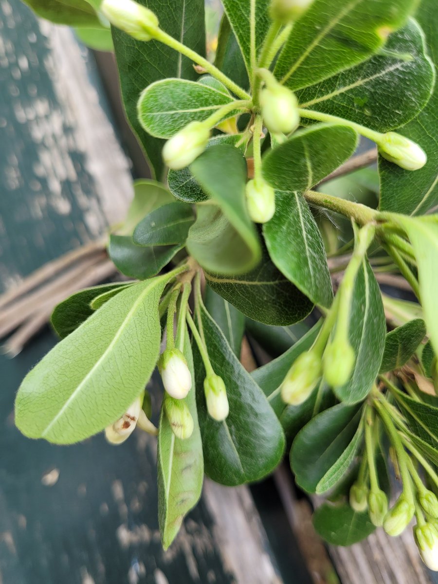 Have a good afternoon