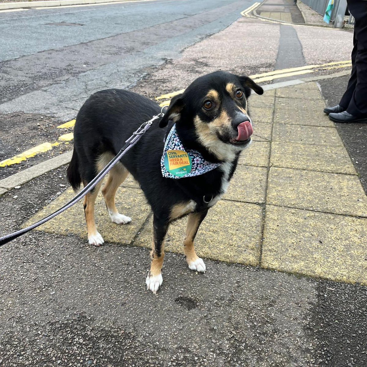 alyshafisha's tweet photo. @ProspectUnion is on strike today! Proud to stand with my colleagues today for fair pay and terms! https://t.co/MXlw4PLdKI