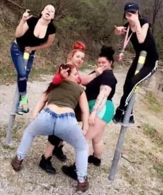 Damien Scott tweet media