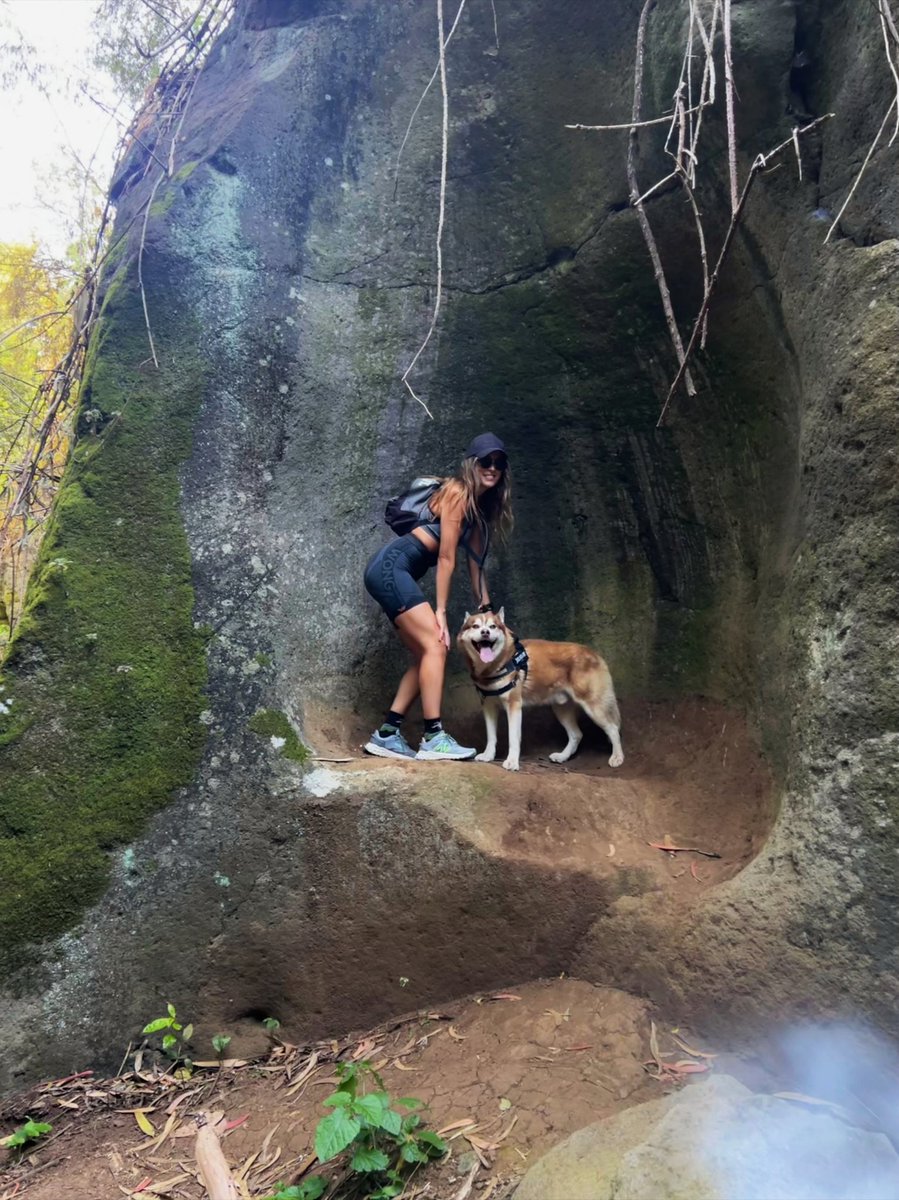 Rachel_Acedo's tweet photo. 📝 Todas las recetas que me digan cómo hacerte feliz. 👣🐺⛰️🩶 https://t.co/To8LCEdLTP