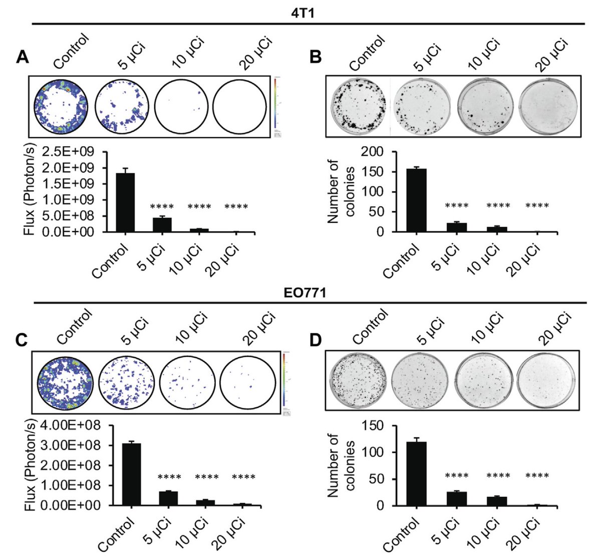 Nathan Kauffman tweet media