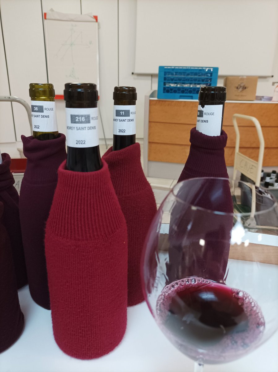 bibbourgogne's tweet photo. Web Review wine organic burgundy region BourgogneAujou1: On attaque les #Morey avec le renfort dans le jury de Ludivine Griveau, la régisseuse ne des @hospicescivils
de Beaune https://t.co/k7tSxOyloC May 10, 2023 at 02:57PM