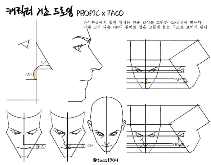 하이앵글에서 입의 위치는 인중 길이를 고려한 "A"위치에 그려준다  이때 코가 나온 "B"의 길이로 입은 코끝에 붙는 구조로 보이게 된다