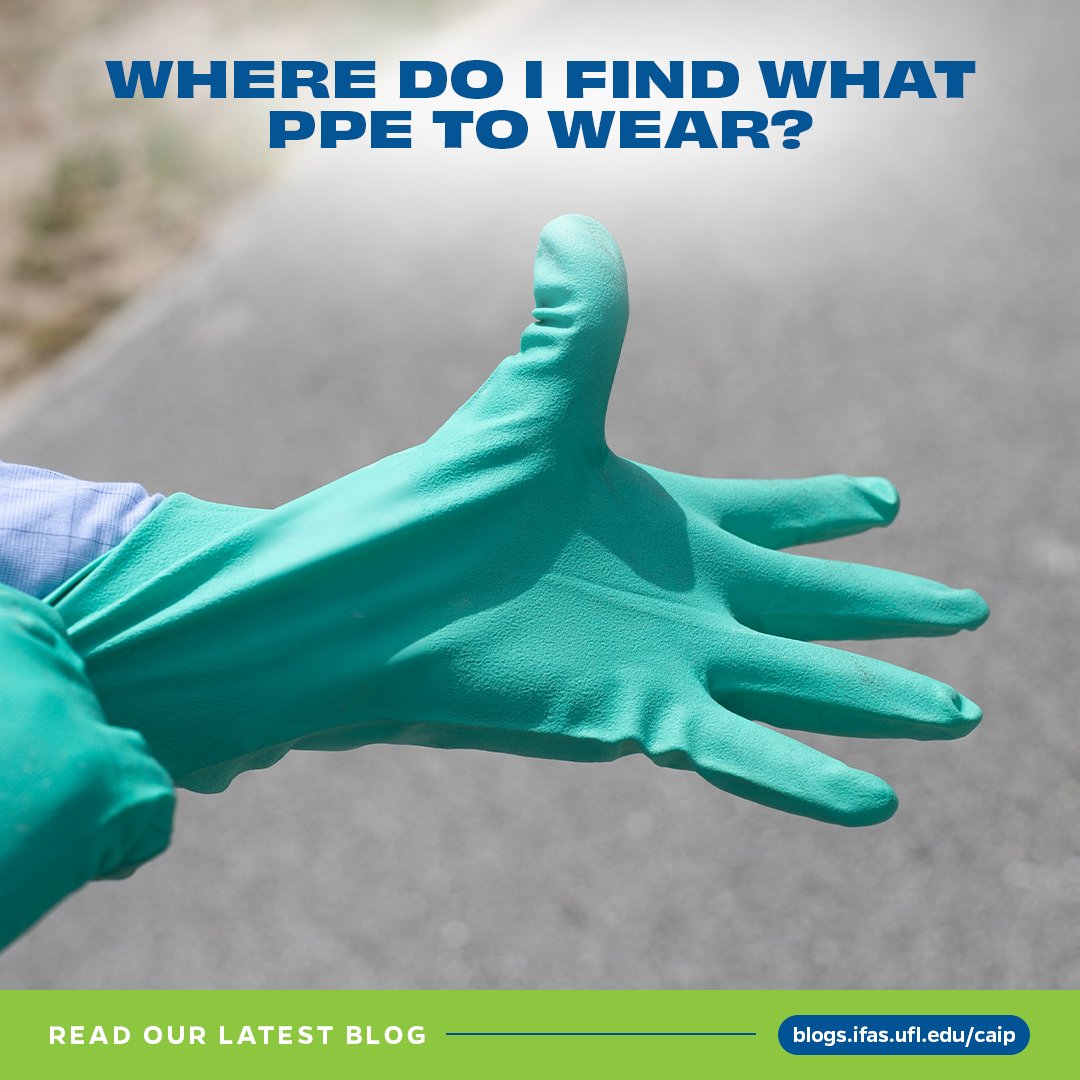 Pesticide safety just got really fun 🎵 Listen along to this blog's soundtrack while learning how to determine WHAT you need to wear when using pesticides.

Check out Dr. Brett Bultemeier's blog, "Where do I find what PPE to wear?" blogs.ifas.ufl.edu/pesticideinfor…