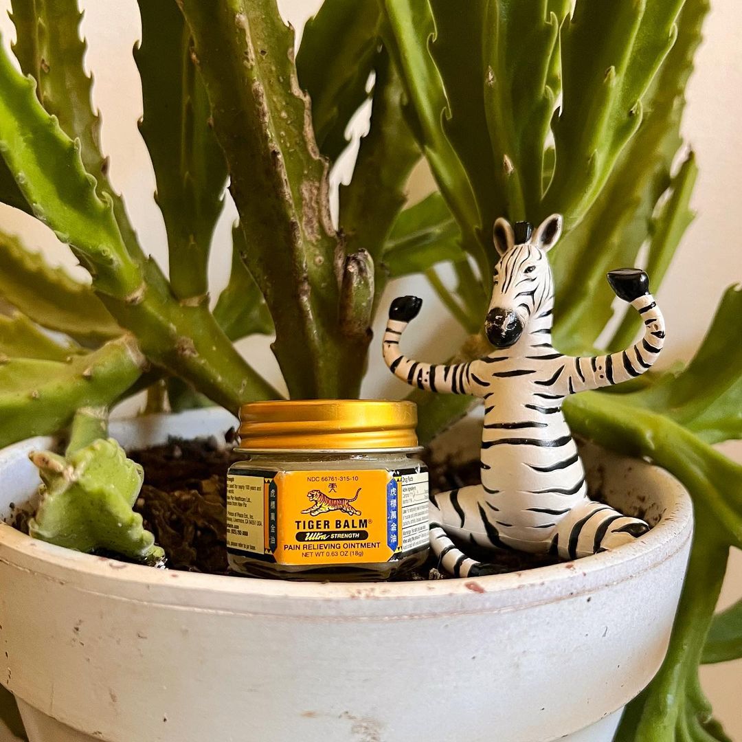 Tiger_Balm_US's tweet photo. We're honored to be able to help folks like @ResilientStripes when they need it! We got your back ๐ช
#eds #pots #WorksWhereItHurts #PhotoBalm https://t.co/xghs9A9hOm