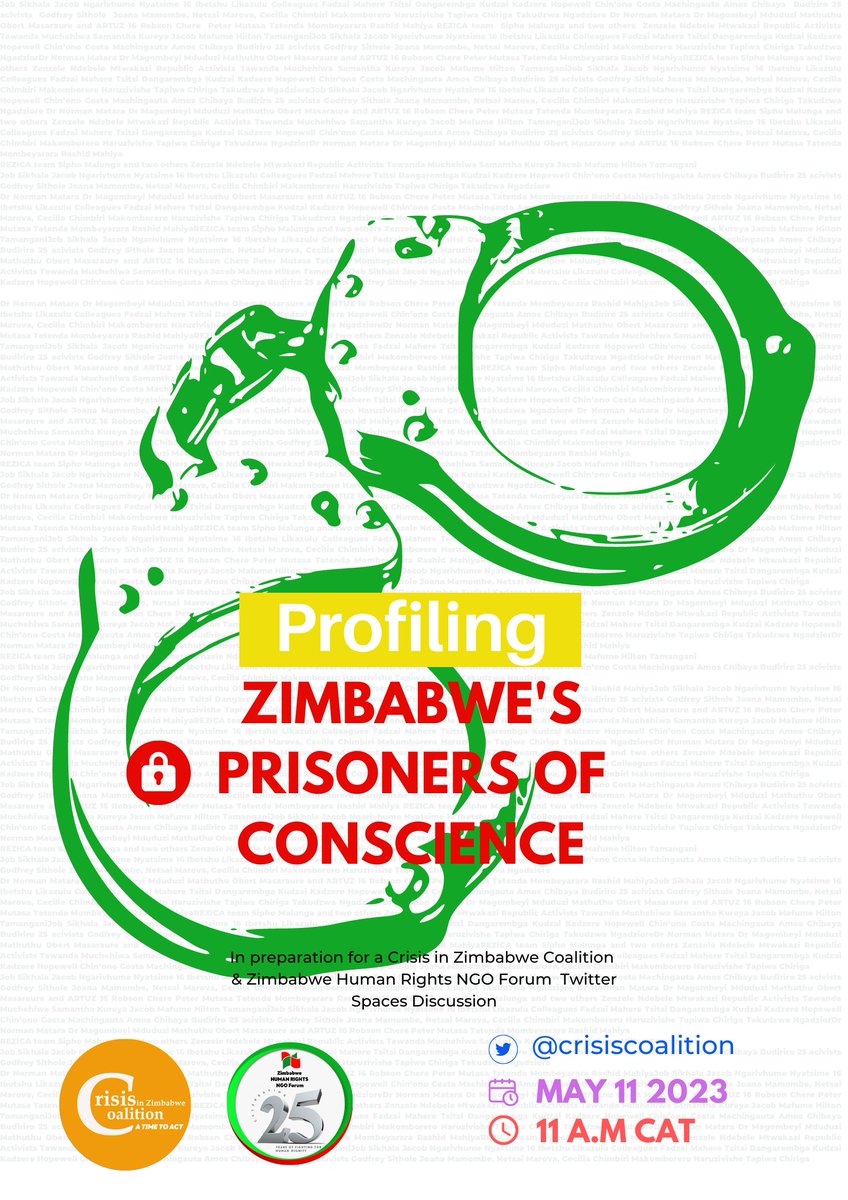 Zimbabwe Constitutional Movement (ZICOMO) tweet media