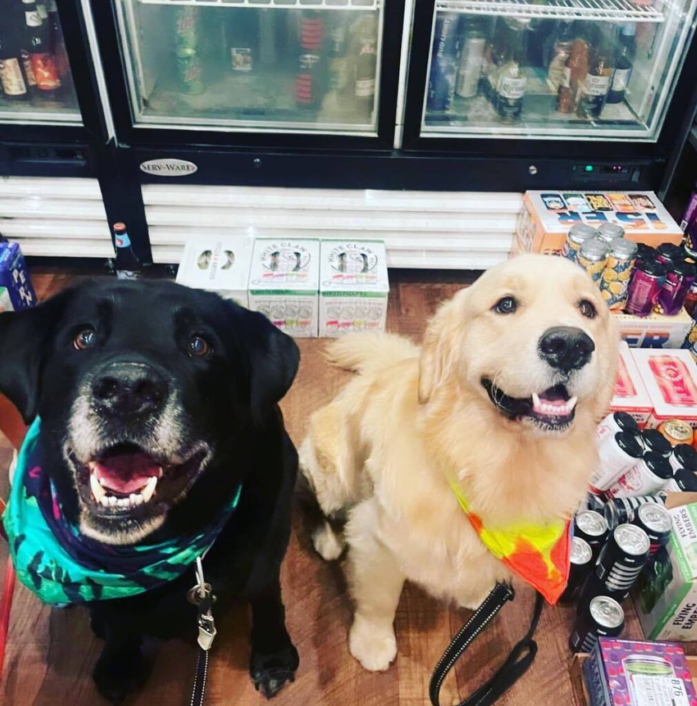 We loved 🥰 seeing 😍 Goose ( Red Line mascot ☺️) bringing his bestie Koda 🐶🐶 for Trivia Tuesday Night! 

Also, Canes 🌀 won , the AC went down but we were having good time so no one really cared 😅. 

Finally, Trivia Tuesday felt the absence of majo… instagr.am/p/CsEC_nmryvK/