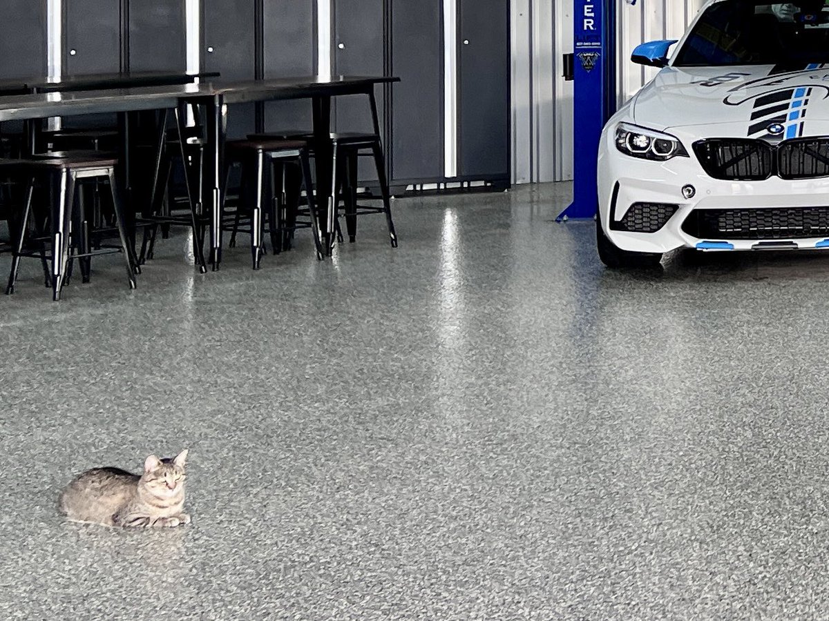 CPAutoScribe's tweet photo. You've gotta have a Track Cat to deal with all those Track Rats. 

#OLOA2023 #OneLapOfAmerica #OneLap #EaglesCanyon https://t.co/m6X0OXxaQ2