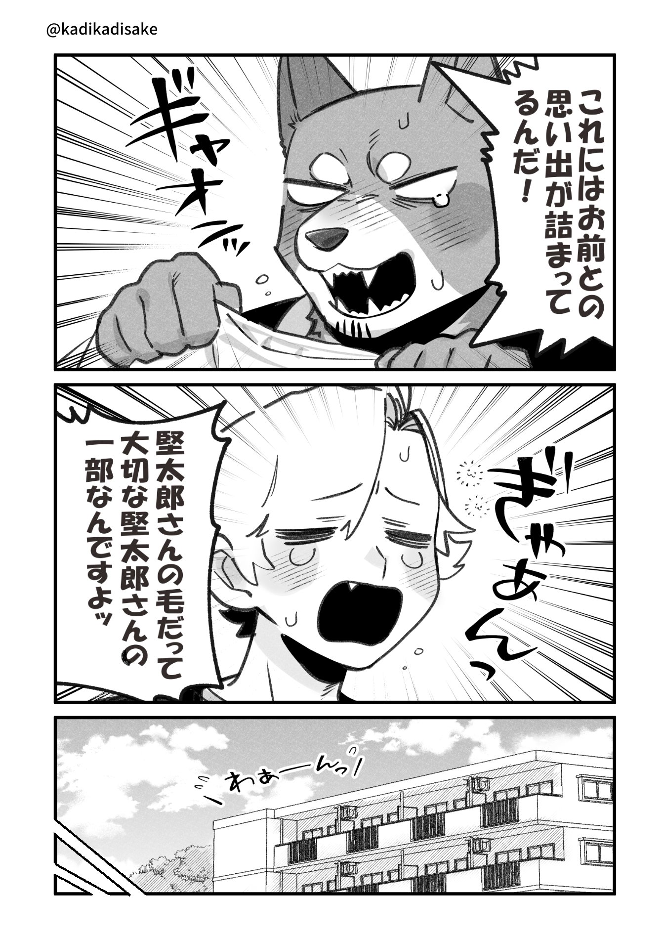 カヂロ/𝙠𝙖𝙙𝙞𝙧𝙤🐶 on Twitter 