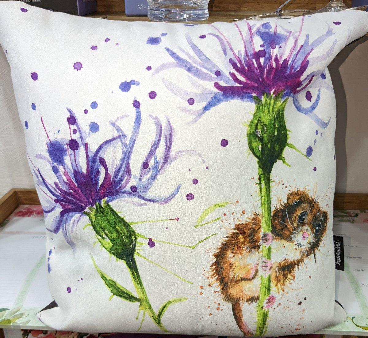 PFarthingShrop's tweet photo. Check out these brightly coloured cushions, perfect as a gift for birthdays, housewarming or just a little treat for you! https://t.co/Iq6X1nY84m