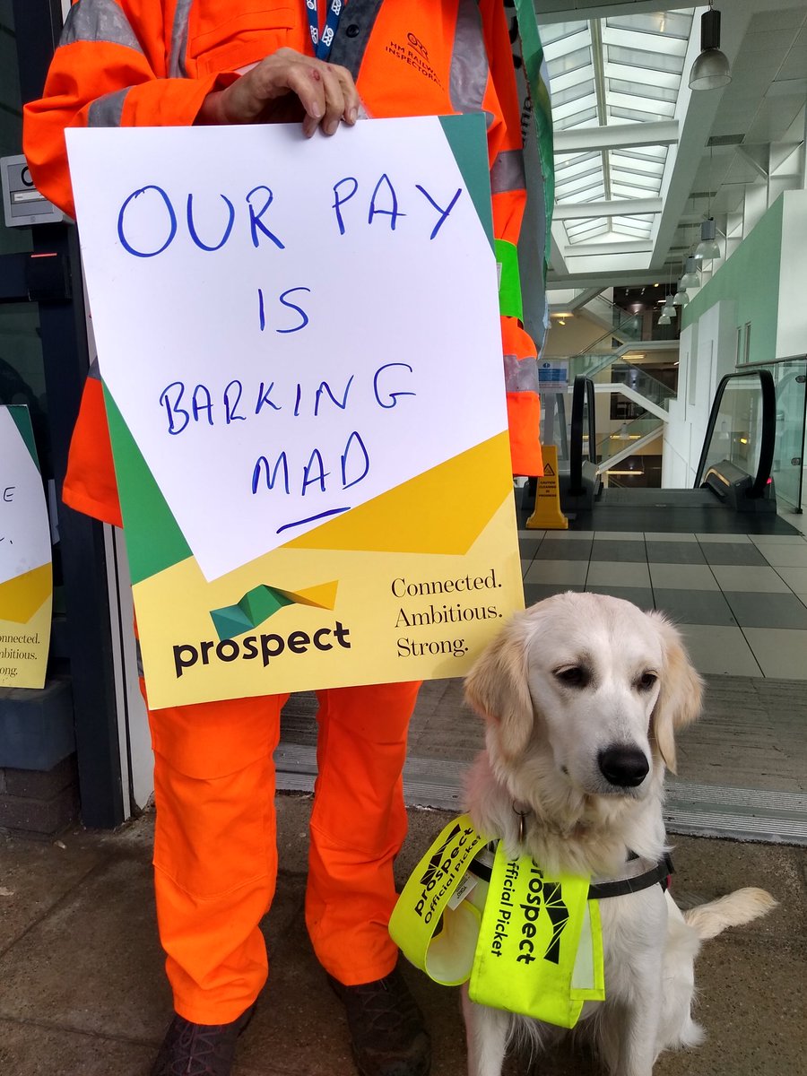 Last word from Honey the ORR fluffy picket #ProspectStrike