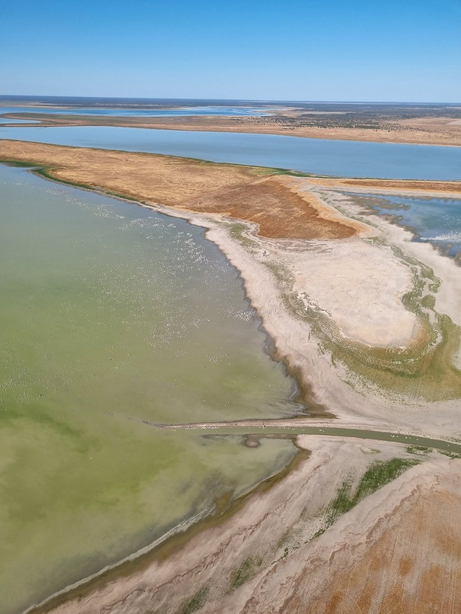 Joanne Ocock tweet media