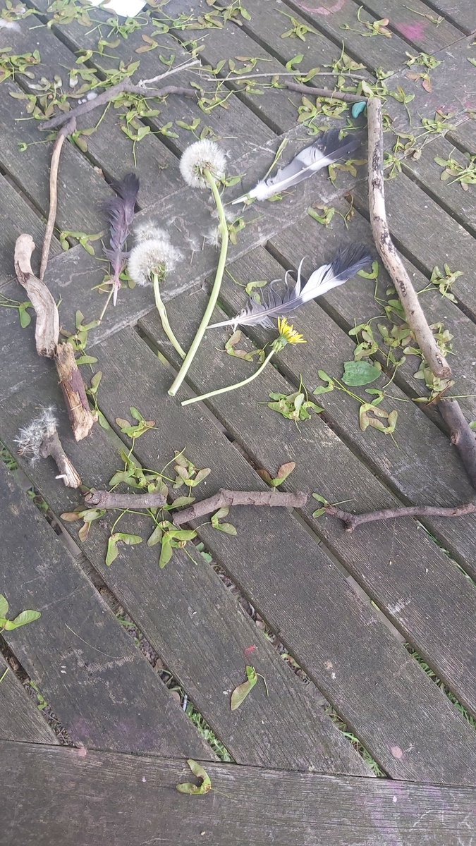 Forestschoolmvps tweet media