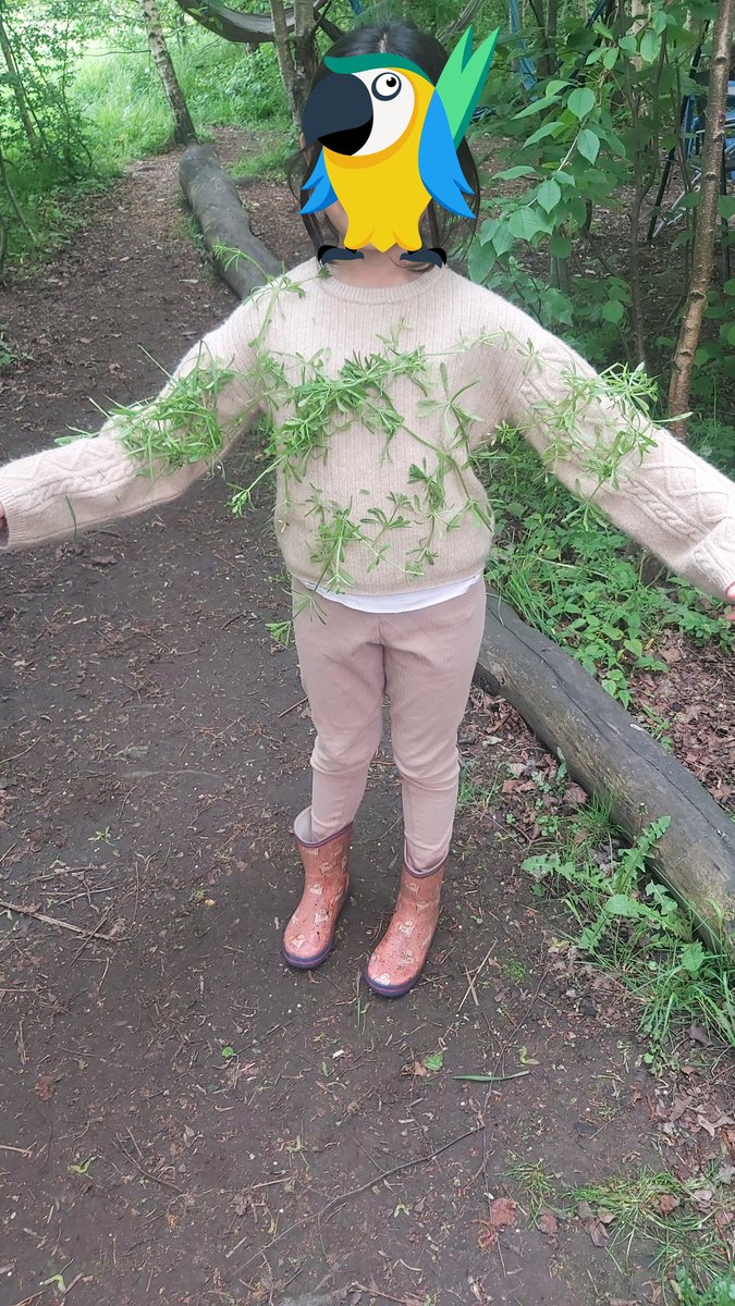 Forestschoolmvps tweet media