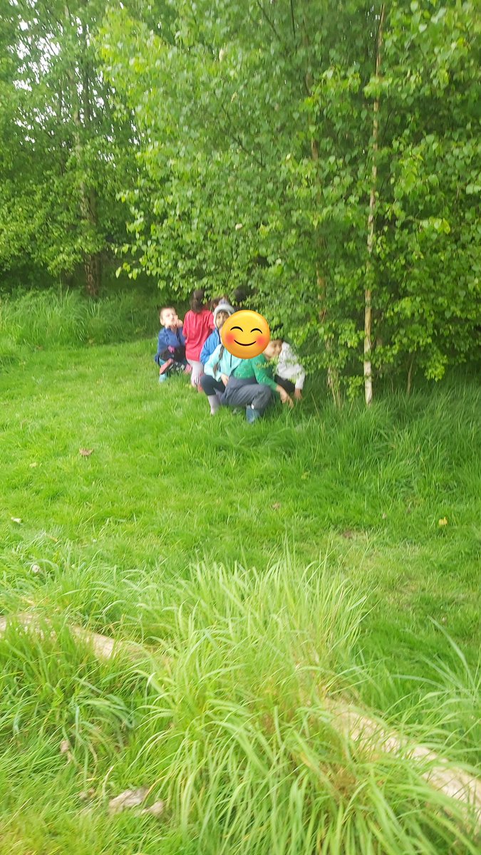 Forestschoolmvps tweet media