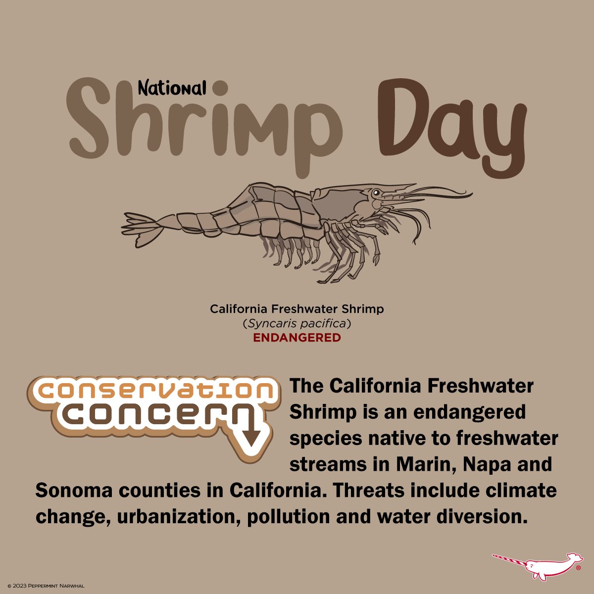 PepomintNarwhal's tweet photo. #NationalShrimpDay
#ConservationConcern #CaliforniaFreshwaterShrimp
NEW! ALL 8 Bear Species enamel pins: https://t.co/lrZ0C4PWI3
& for more great Animal Merch visit the #PeppermintNarwhal store:
https://t.co/bQXxNGbEjD
#ShrimpDay #FreshwaterShrimp #Shrimp https://t.co/4erFi8NHXU