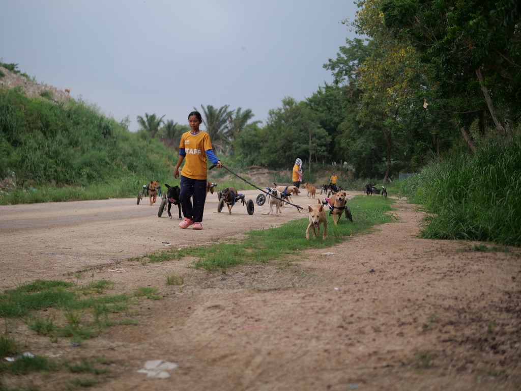 TMTRD The Man That Rescues Dogs Foundation on Twitter "The