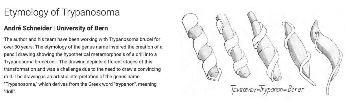 André Schneider, DCBP, University of Bern tweet media