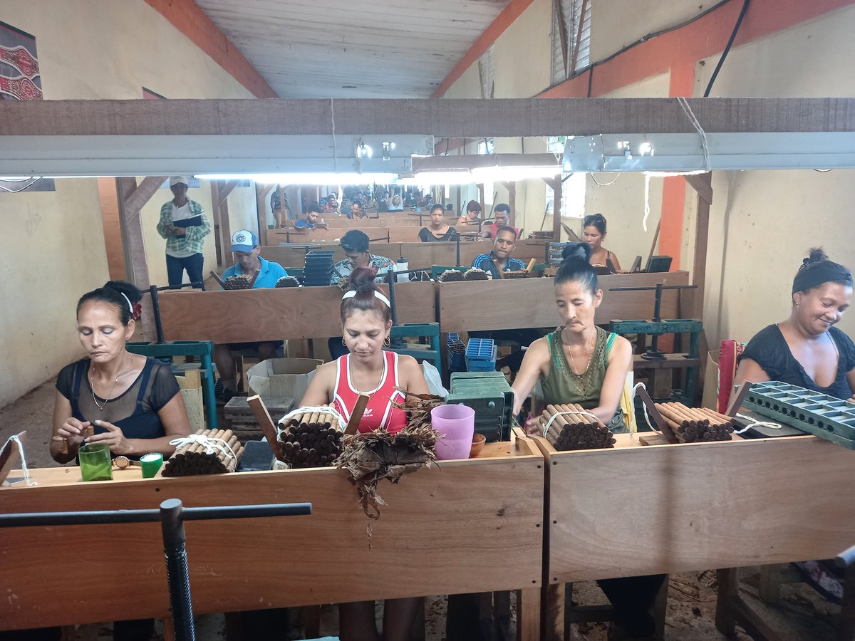 LorenzoOsbel's tweet photo. Visitamos la Escogida y la Fábrica de tabacos de La Fe para intercambiar con trabajadores y conocer inquietudes y posibles  soluciones #IslaDeLaJuventud #Cuba #FidelPorSiempre https://t.co/xI5XUHhFe5