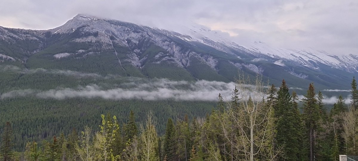 MapScaping tweet media