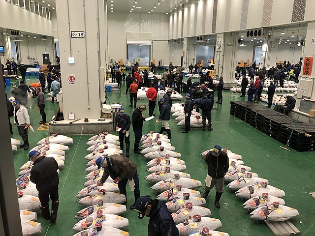 Tsukiji / Toyosu Fish Market

The smell of fresh fish fills the air, mingling with the sounds of  vendors hawking their wares. It's a symphony of commerce, a testament to  the enduring traditions of Japan's seafood industry.