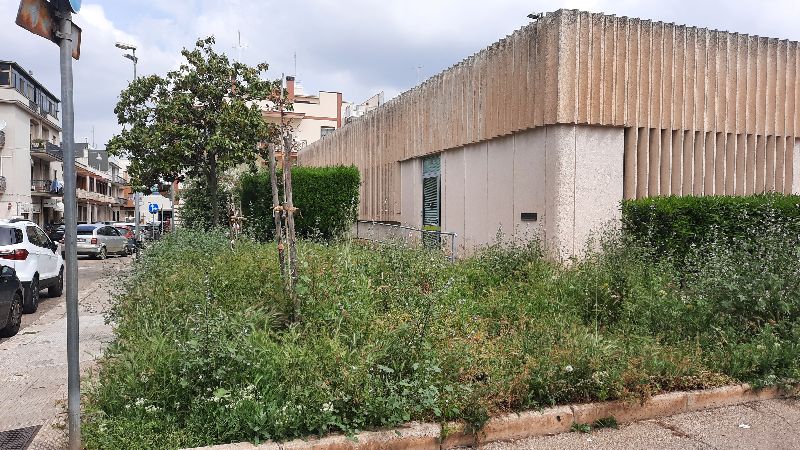 oggiconversano's tweet photo. Poste Italiane con un utile netto nel 2022 di 1,51 miliardi di euro non riesce a tenere pulite le aiuole della sede di via Benedetto Croce  - https://t.co/hl32v3EdHO https://t.co/LhPqw0tSER