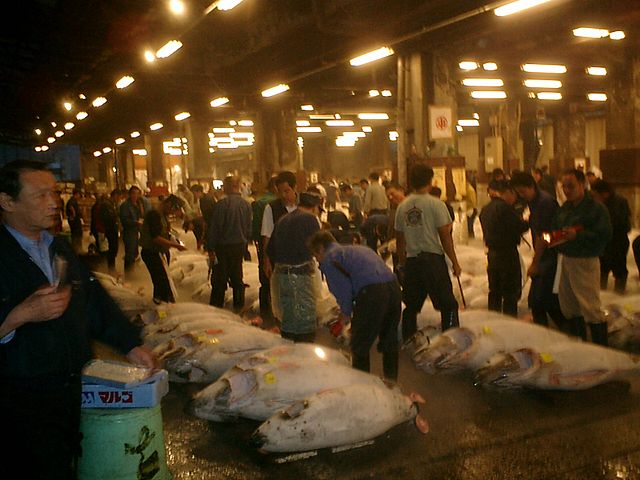 Tsukiji / Toyosu Fish Market

Strolling through the Toyosu Fish Market, I am struck by the sheer  scale of this place. The endless rows of stalls and the hustle and  bustle of the vendors