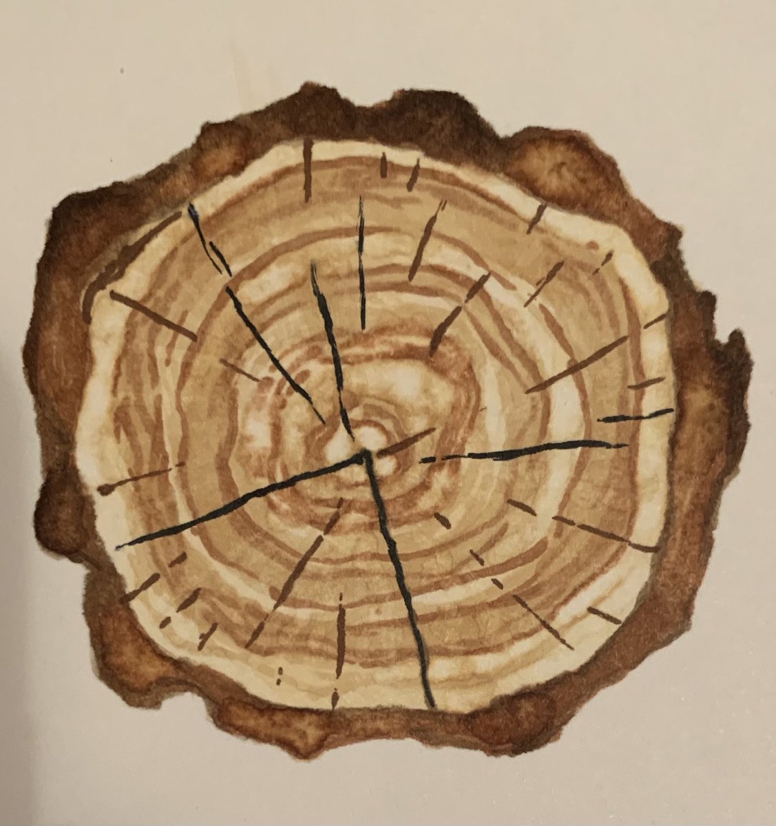 Irina Barbasova tweet media