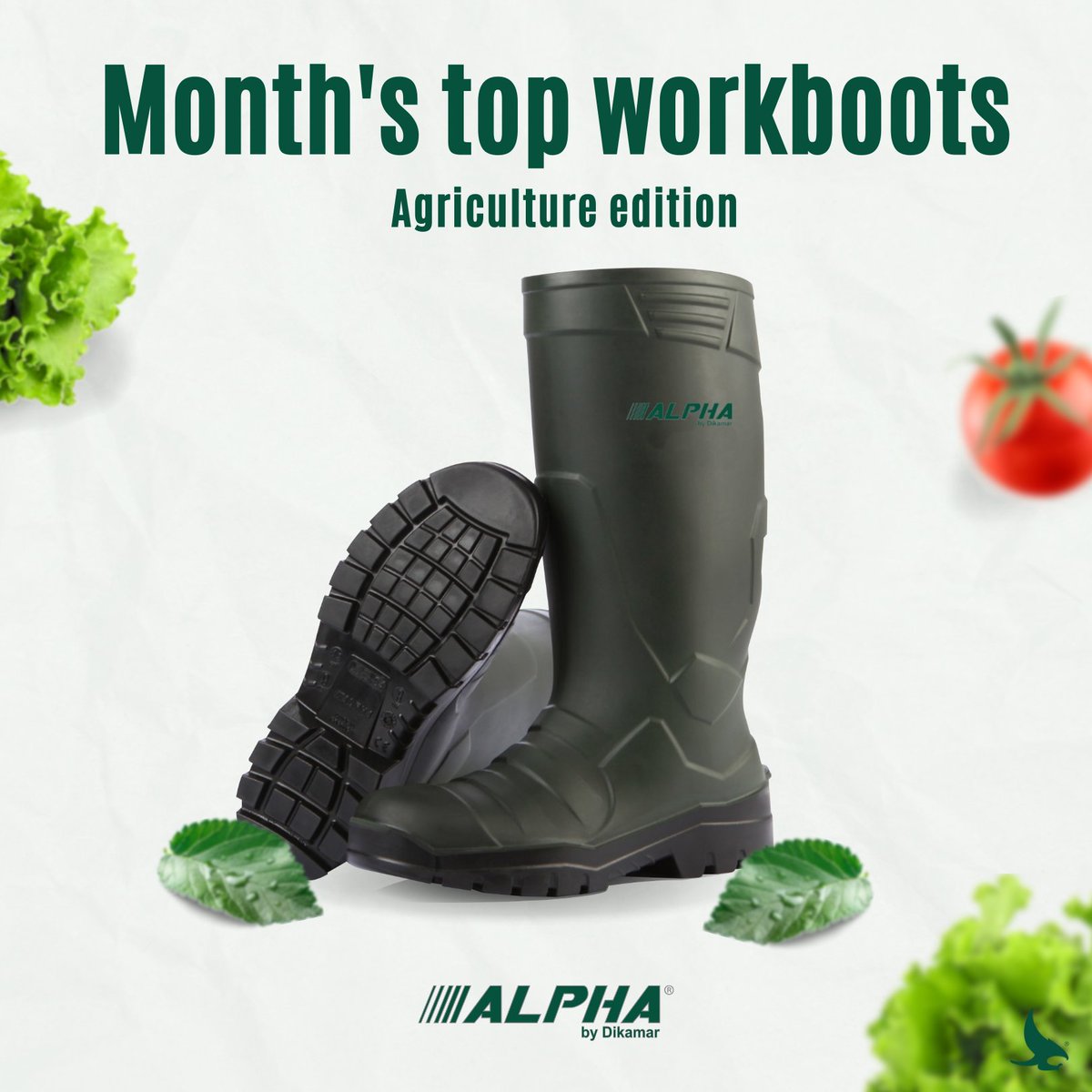 DikamarSA's tweet photo. The top work boots of the month for Agriculture.

Dikamar has a wide offer for high performance in agricultural activities. Check out the top workboots and visit our online store.

Put your feet in action in Agriculture with Dikamar boots 👨‍🌾 https://t.co/vMBGaMu81O