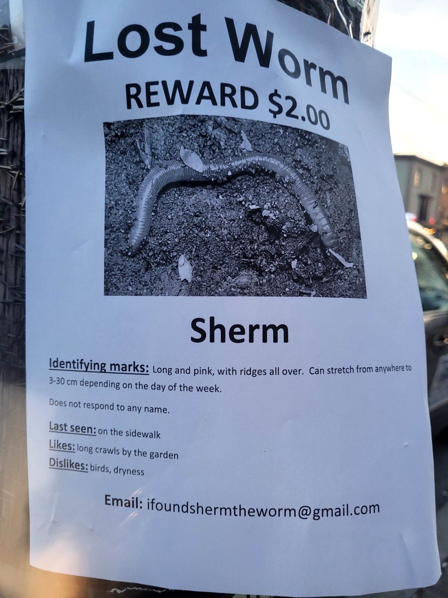 Important #WormWednesday message: last seen in #Toronto.