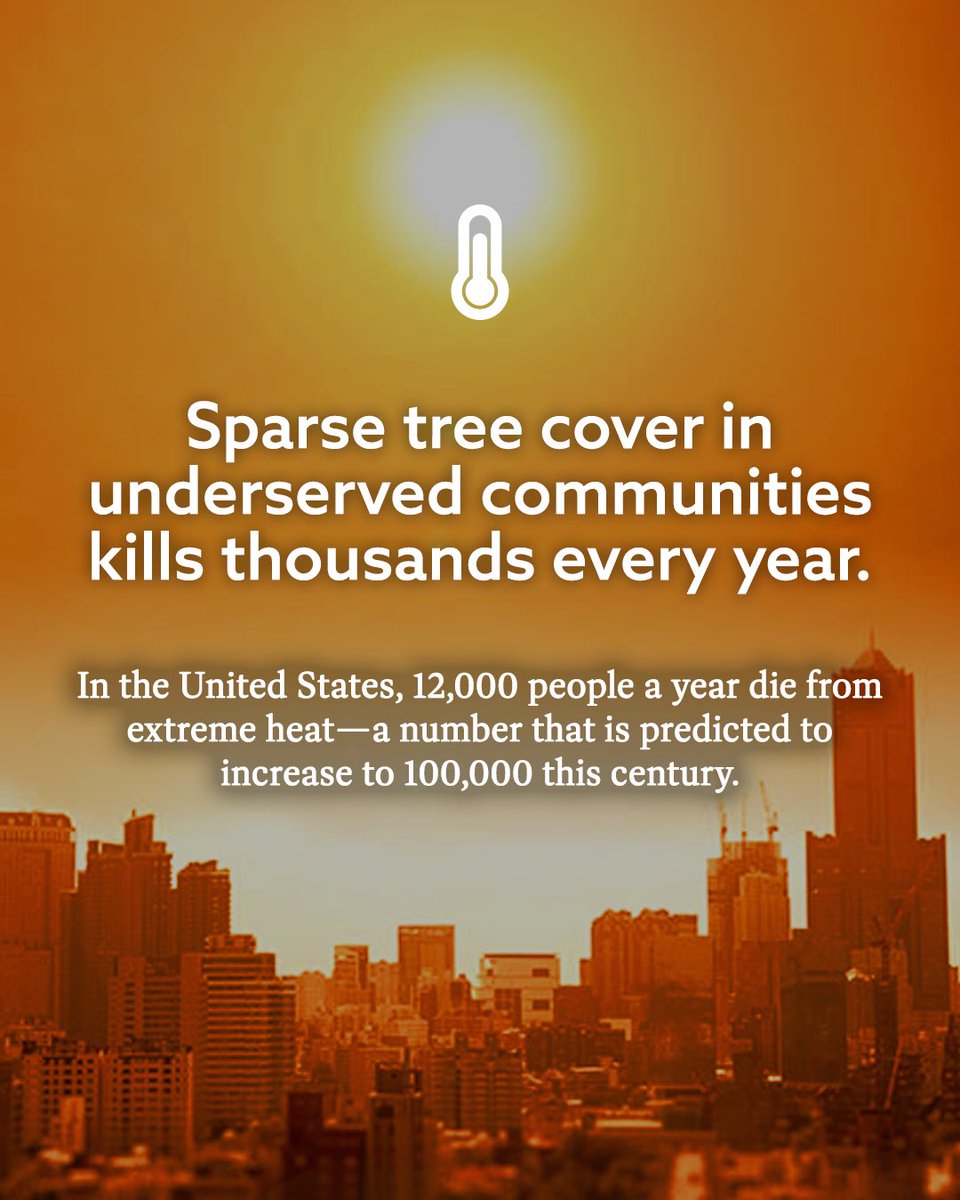 ThinkLikeaTree tweet picture
