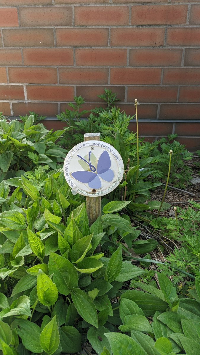 Mr. Christian Dockum tweet media