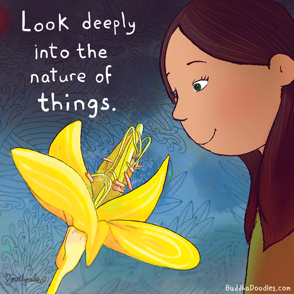 Image Description: A person is in a moment of peaceful and quiet introspection, studying a radiant yellow flower in full bloom. The caption says, "Look deeply into the nature of things." The artwork is by Molly Hahn.