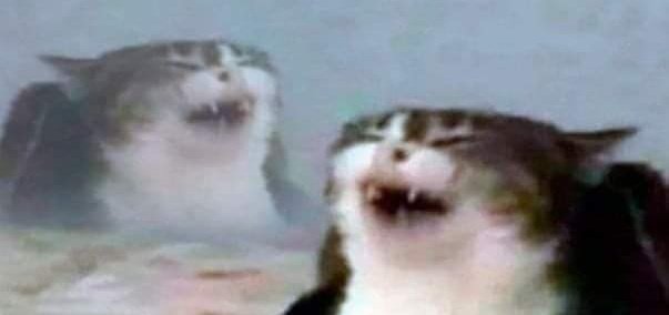 Katz