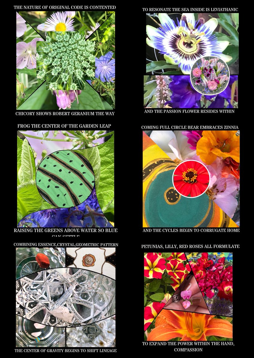 ClarityArtists's tweet photo. #Flowers #GardenTalk #Alchemy #Meditation #WordAndImage A GARDEN CONVERSATION https://t.co/dAfD3hHyVN