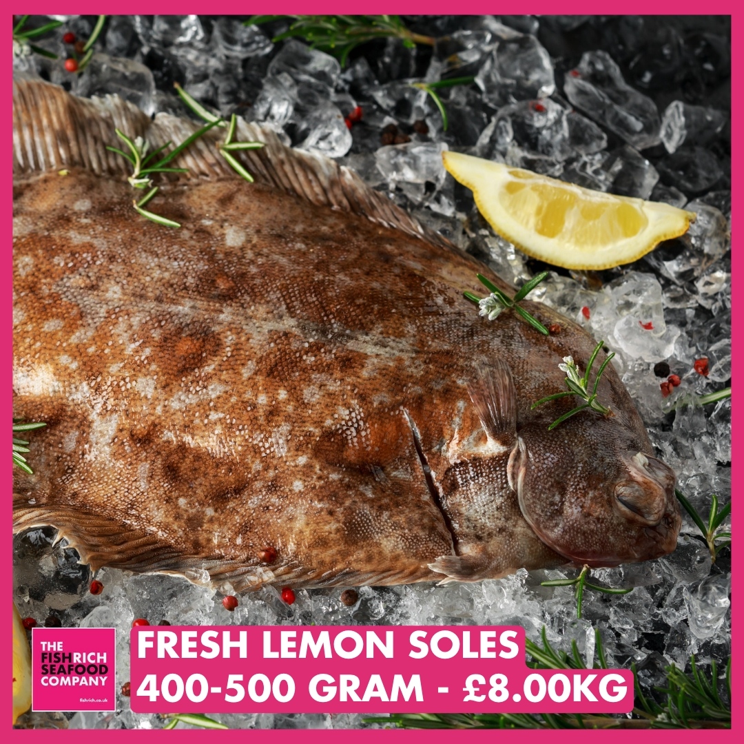 FishrichThe's tweet photo. Ready for delivery!
🐟 400-500g Lemon Soles - £8.00kg
📱0115 978 9411
📧 orders@fishrich.co.uk
🖱️ https://t.co/xLAskXZgXK
🚚 Delivering Tues-Sat across Midlands
#fish #seafood #chefs
#nottingham #restaurants #lemonsoles https://t.co/QDDyyiVuyW