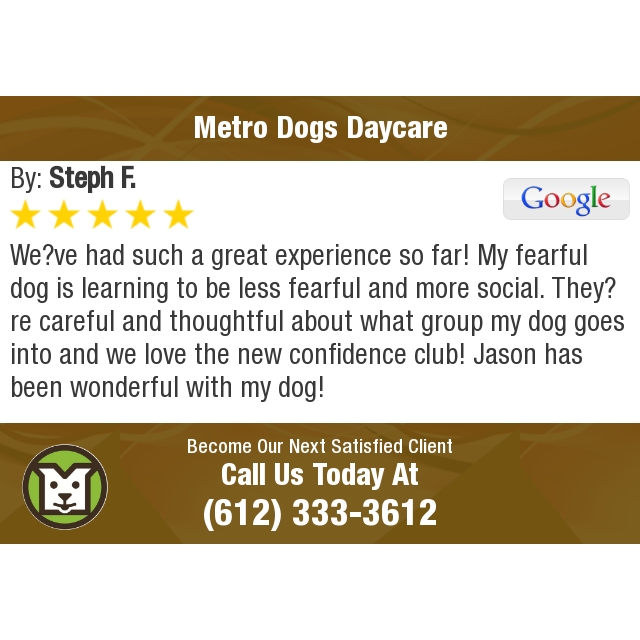 MetroDogsMN's tweet photo. 5 Star: Steph F. "We’ve had such a great experience so far! My fearful dog is..." https://t.co/NQp2NKBM3A https://t.co/TxuubC2V0l