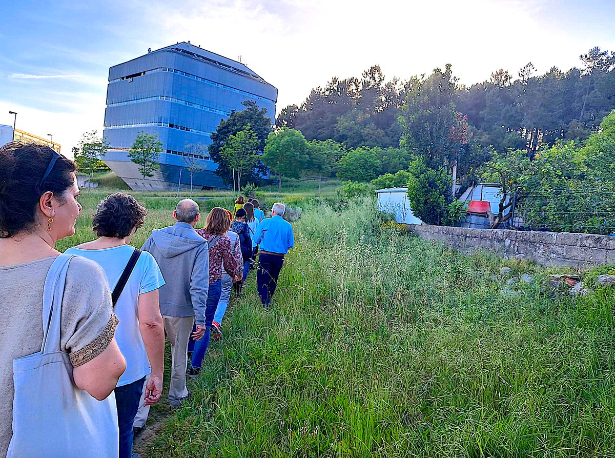 anobre1's tweet photo. Ontem, 9 Maio, colaborei no seminário/passeio “As lições estéticas dos #morangueiros – magias e encantos” relativo a #hortasurbanas e organizado por colegas do @CECS_UMinho. O #passeio teve início na horta das Lameiras #Braga e terminou na nossa #HortaSTOL @udominho (1/3) 👇 https://t.co/gvphnNkM3d
