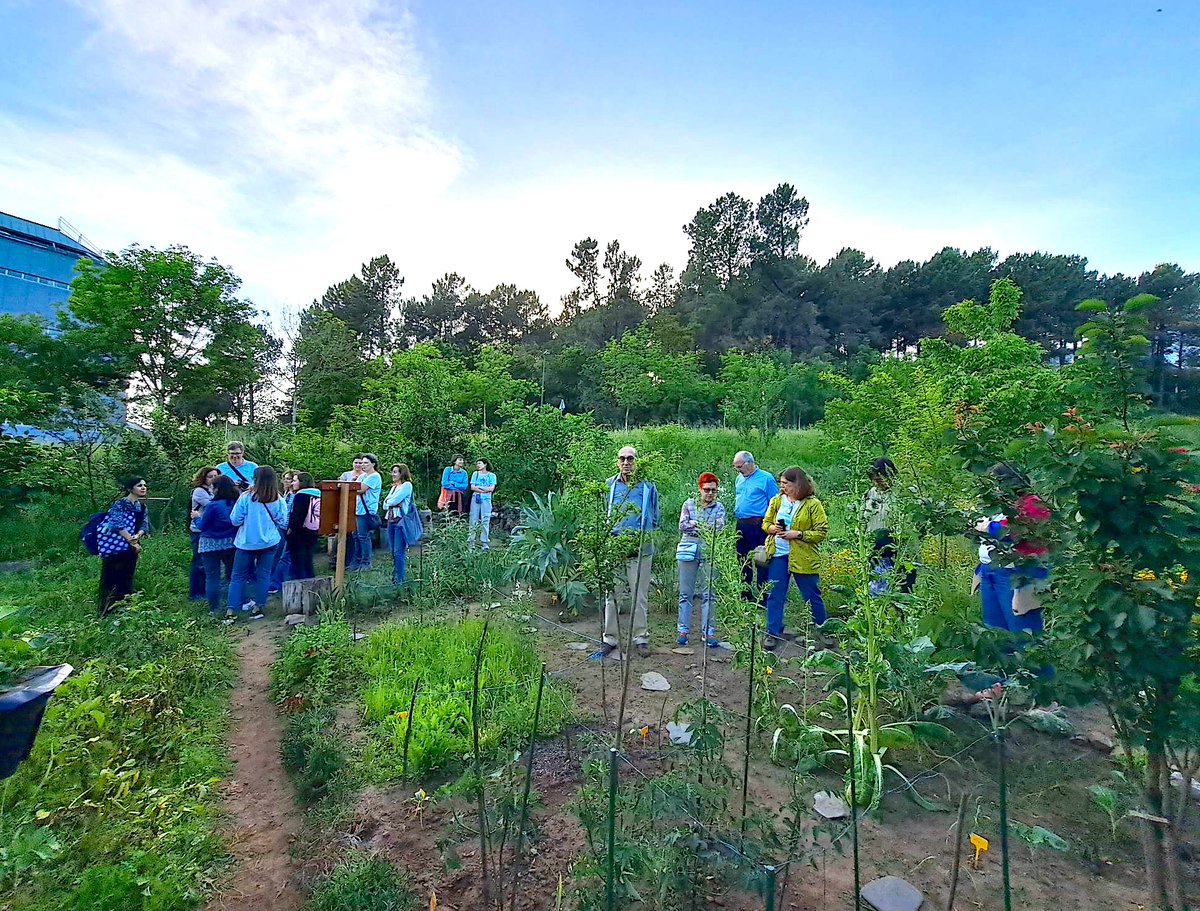 anobre1's tweet photo. Ontem, 9 Maio, colaborei no seminário/passeio “As lições estéticas dos #morangueiros – magias e encantos” relativo a #hortasurbanas e organizado por colegas do @CECS_UMinho. O #passeio teve início na horta das Lameiras #Braga e terminou na nossa #HortaSTOL @udominho (1/3) 👇 https://t.co/gvphnNkM3d