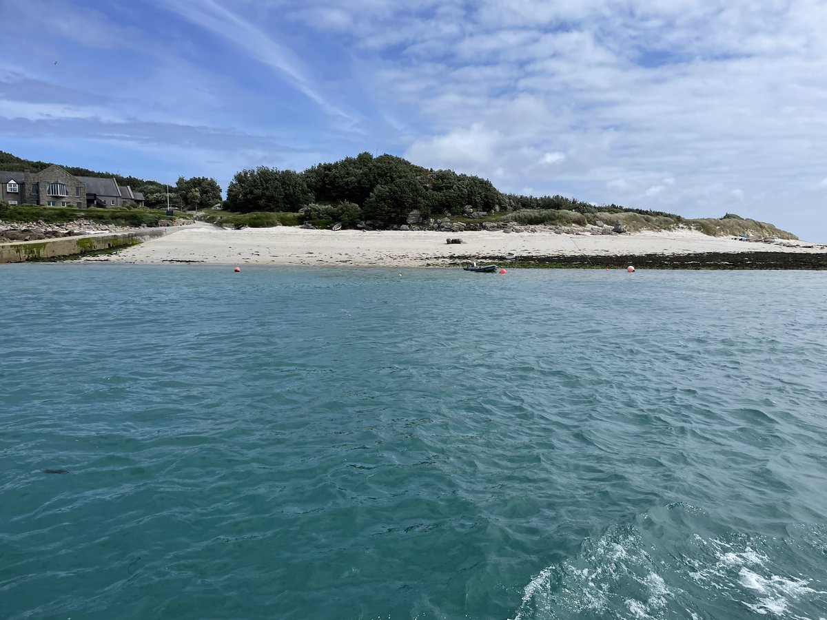 tevicornwall's tweet photo. Learning about #rat eradication on St Mary’s island with @ScillyWildlife https://t.co/qtUU4lEco0
