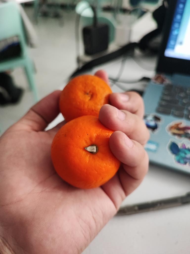 shmfntsprcn's tweet image. How about some sweet healthy oranges everyone?

@GoHealthHero $HLTHY #Healthysnap #Dailysnap #HealthtoEarn #nfts #Web3 #crypto #h2e #p2e #m2e #gamefi #metaverse #nfts