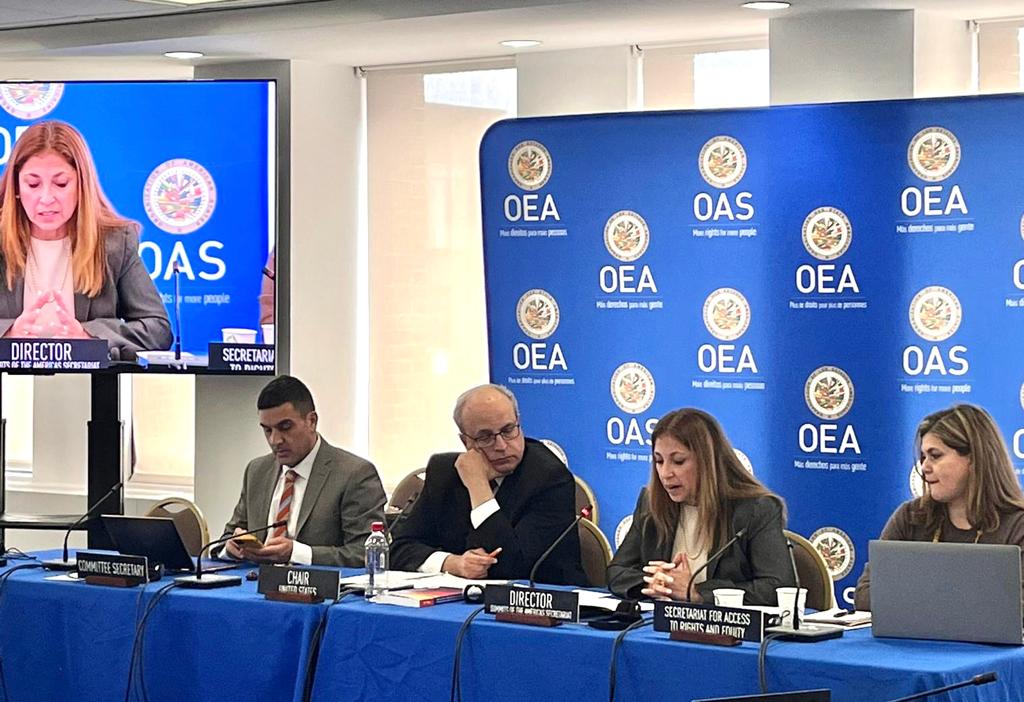 SummitAmericas's tweet photo. Maria Celina Conte, Director of the Summits Secretariat, presents to the @CP_OAS #CISC, under the Chair of @USAmbOAS, the periodic report of the Summits of the Americas Secretariat on the work undertaken to strengthen the Summit Process.
#IXSummit https://t.co/KmM2FpOsxF