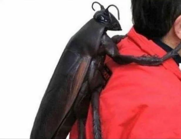 *me toca el cuello una tirita de la mochila*

mi cerebro: