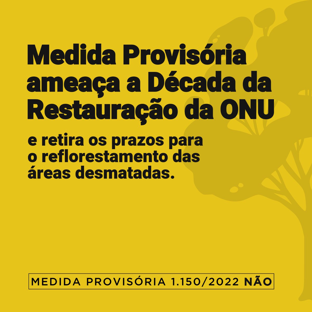 wwfbrasil's tweet photo. Vamos pressionar pela retirada da MP 1150 da pauta de votação hoje no @SenadoFederal! A Medida adia a restauração das nossas florestas, ataca o que sobrou delas e coloca os moradores das cidades em risco! #SalveOCódigoFlorestal #SalveAMataAtlântica https://t.co/RrdvtJFePw