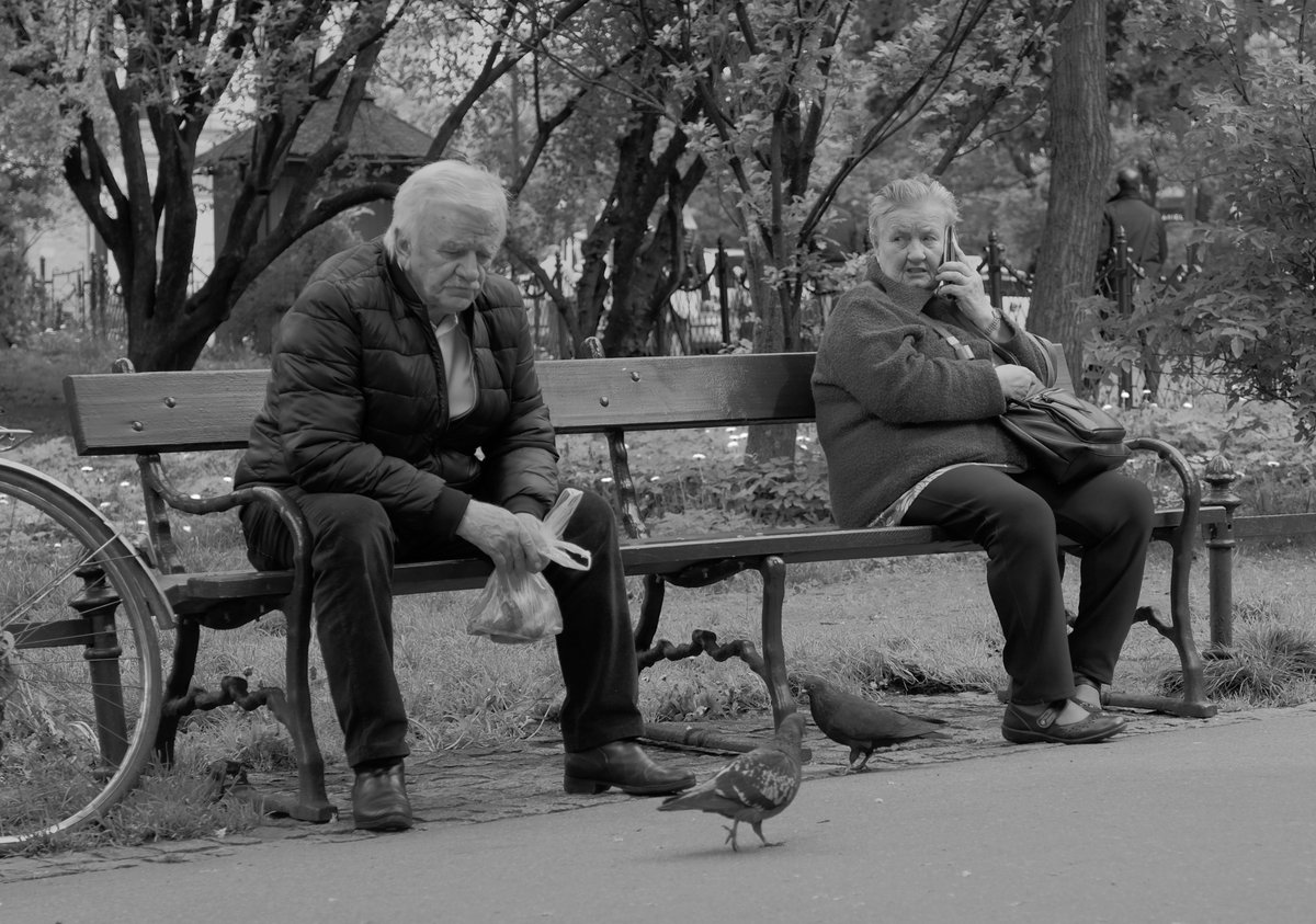 greg_spring's tweet photo. @gregspringphoto "Just a man talking to some birds". #streetphotography #blackandwhitephotography https://t.co/hFDuYuX2MK