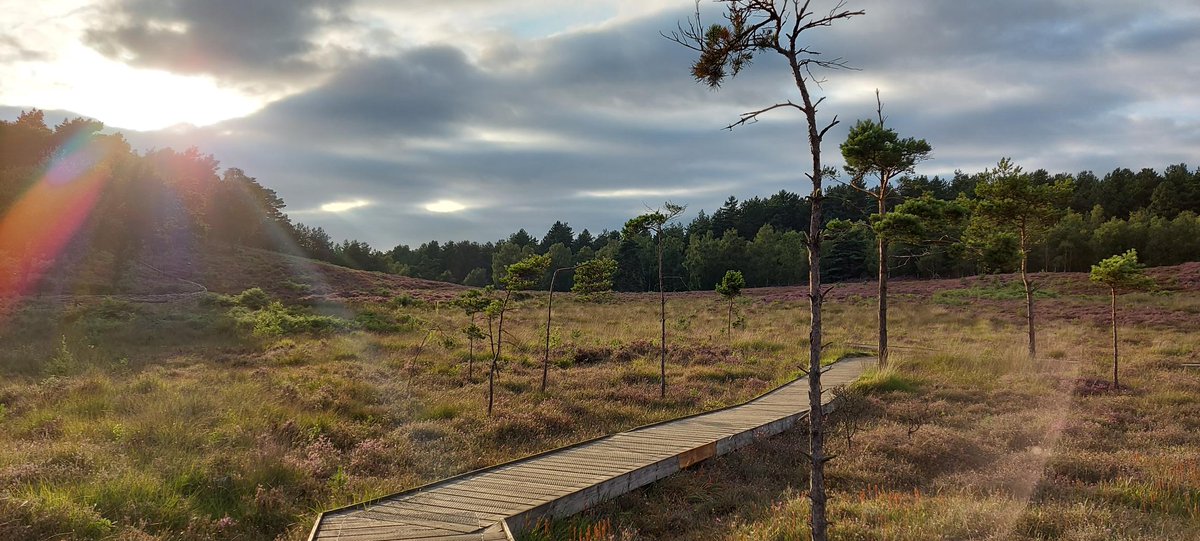 NENorfolkSufflk's tweet photo. ⭐️#JobAlert ⭐️
We have two vacancies @NENorfolkSufflk to lead the management of our National Nature Reserves in North and West Norfolk, and the Broads.

Find out more &amp; apply  👇

Senior Reserves Manager (Ref: 5057) https://t.co/6fYXLPKeEj https://t.co/0NLyqrWLeK