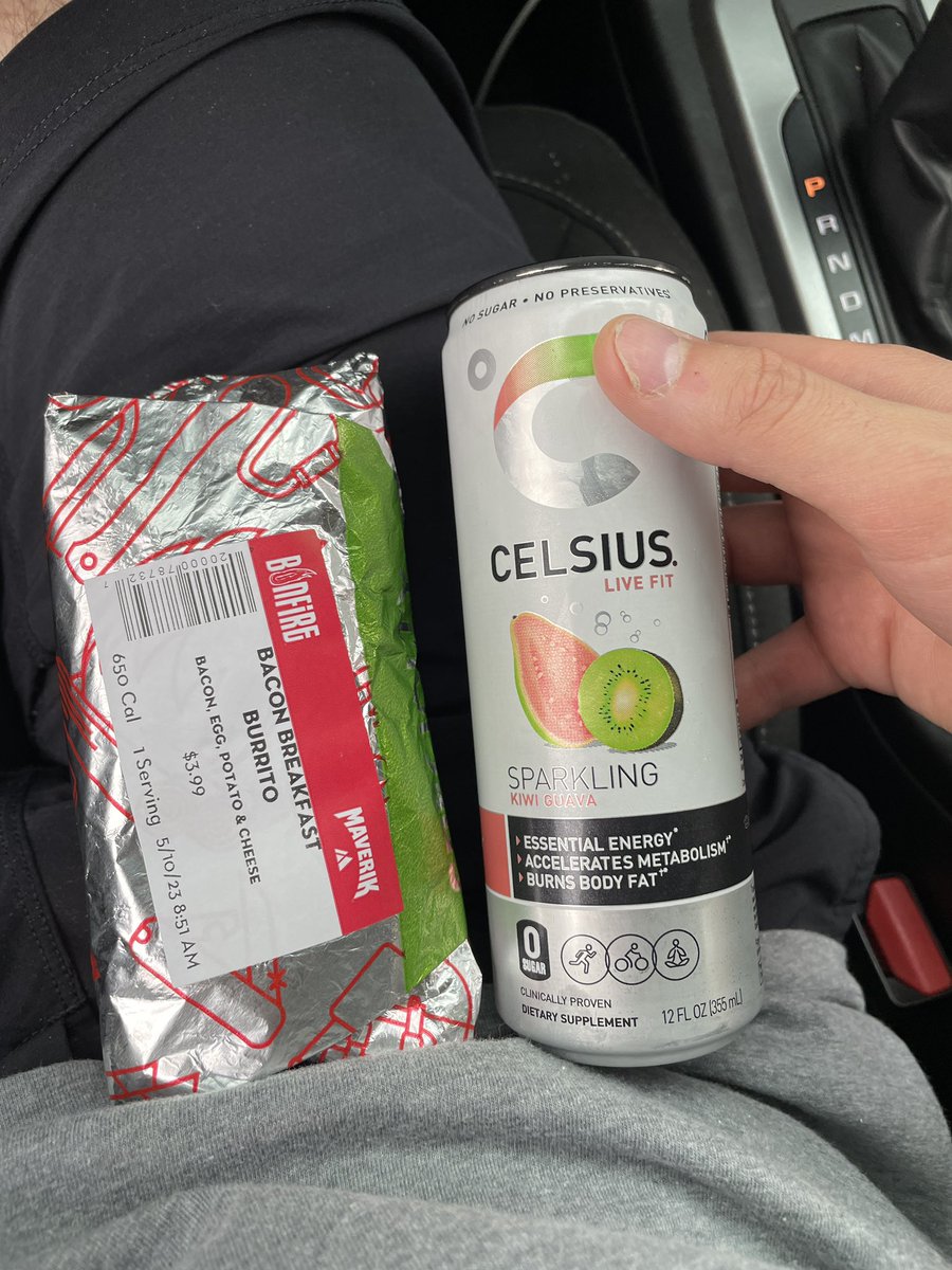 MouseBeanie's tweet photo. GM 
#maverikburrito post workout https://t.co/SxBYPtsEfV