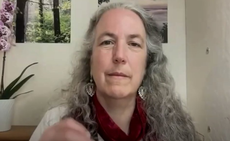 ScienceNotDogma's tweet image. Watch this 1-hour webinar to learn about the importance of #multisolving (taking one action that has many benefits) from one of the world’s best systems thinkers @bethsawin and how to apply it to your #ClimateAction:

youtu.be/eAEeQ-rFWDk

(from @CrwdsrcingSusty&apos;s newsletter)